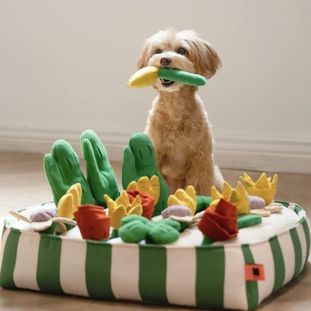 Pet Dog Food Leakage Educational Toys